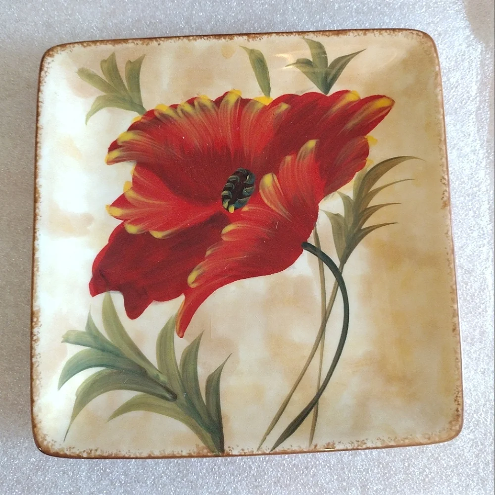 5-Piece Pier 1 Hand Painted Poppies Eartheneware Square Salad Appetizer Plates